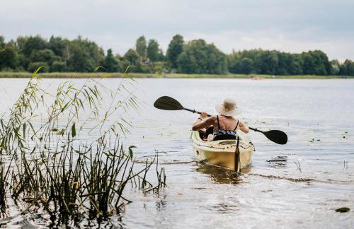 Dziki Las - domki na drzewach - Foto 73