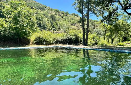 Casa Árbol - Foto 8