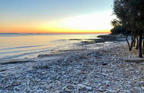 Apartment Enis - Photo 48