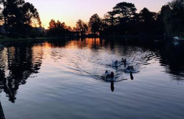 Espetacular Flat no Mountain Village - Foto 66