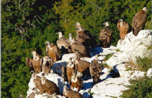 Appartement climatisé Parc Paradis 150 m des thermes - Foto 15