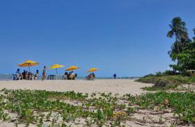 MSFlats Paripueira praia varanda c rede cozinha Wifi Ar split - Foto 78