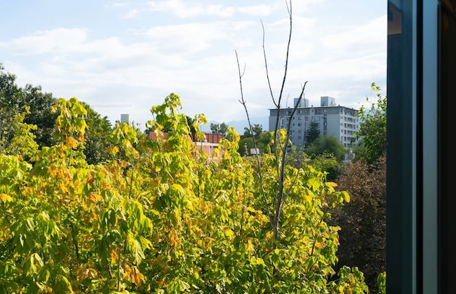 Cinco Soles Apart-Hotel - Photo 11