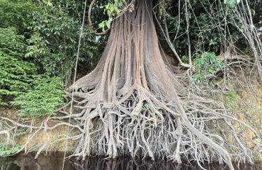 Casa ampla com jardim e 3 suítes em Novo Airão - Foto 43