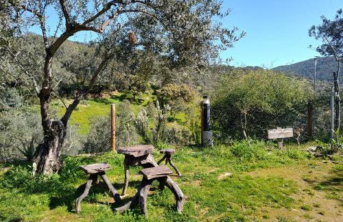 El rincón de Alájar - Foto 28