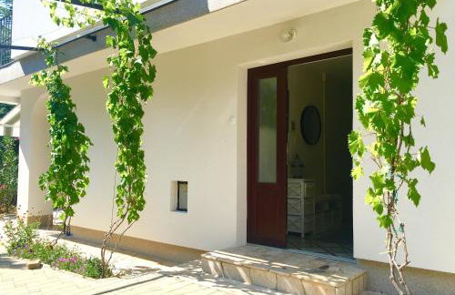 Apartment Olive Groove - Foto 25