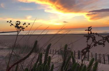 Résidence Le SUNSET Marseillan-plage, entre mer et lagune de Thau, étape vélo, famille, couple, VRP, toutou admis, jardin, parking privé gratuit, vélos, Clim, WIFI fibre gratuite, commodités, plage et piste cyclable à proximité, 6 couchages nous contacter - Foto 37