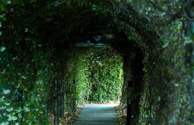 Athena Premium Suites - Foto 63