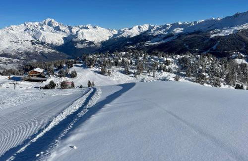Appartement - La Plagne - Les Coches - 7 Personnes - Pieds des pistes - Foto 7