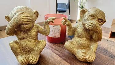 Le cèdre de Jori - Foto 4