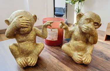 Le cèdre de Jori - Foto 4