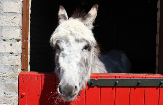 Holiday Home in Nijmegen With Garden Terrace - Foto 15
