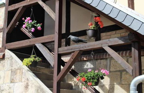 "Altes Stellwerk Frose" am Froser See - Foto 7