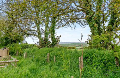 Caerau Bach - Foto 24