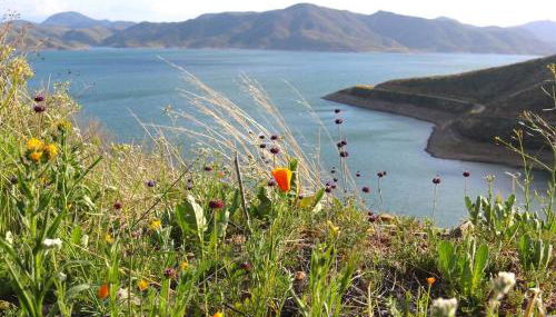 The Blue Cove - Foto 2