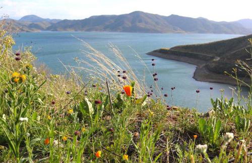 The Blue Cove - Foto 2