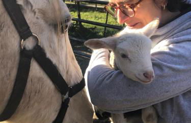 Quinta do Ragal - Photo 71