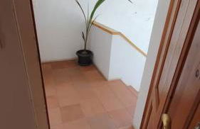 Dúplex Bornoi - Foto 9