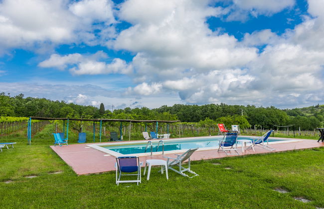 Fattoria Petraglia - Terrazza - Foto 13