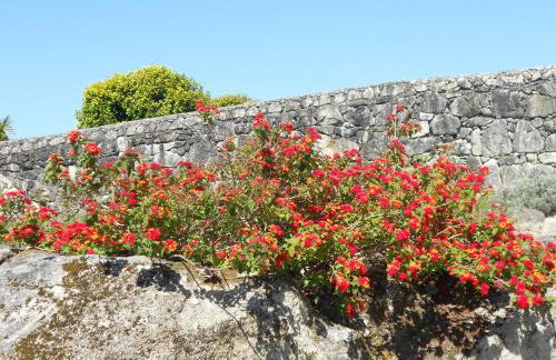 Casa do Murungal - Foto 43