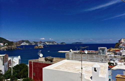 Maridea - Turritella - Foto 3