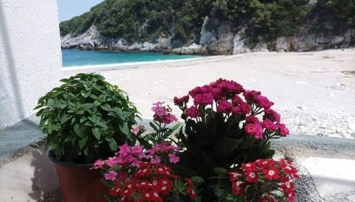 Κυμοθόη - Foto 5