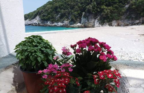 Κυμοθόη - Foto 5