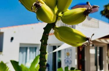 Casita del Toro - Foto 12