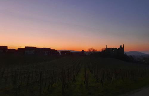 Ferienwohnung Alte Schmiede - Foto 21