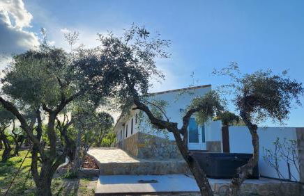 Agroturismo Viña Inés Toledo - Photo 49