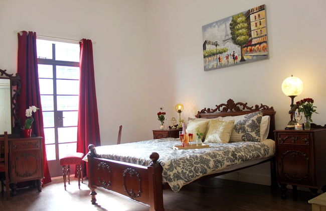 Maltese Maltese - Foto 53