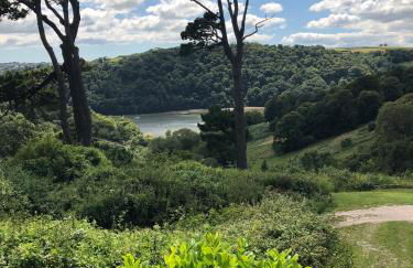 Higher Greenway Annexe - Photo 14