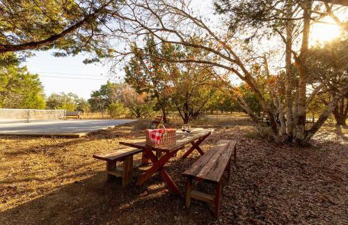Feed Deer and Chickens Cozy Cottage 8 min to Boerne - Photo 41