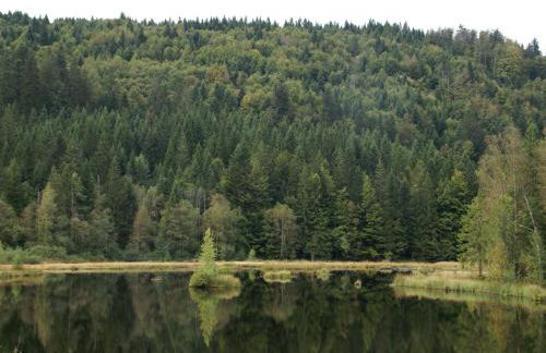 Holiday Home Vagney near Ski Gérardmer - Photo 39