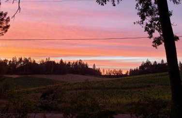Luxury Napa Vineyard Estate 15 min from St. Helena - Foto 60