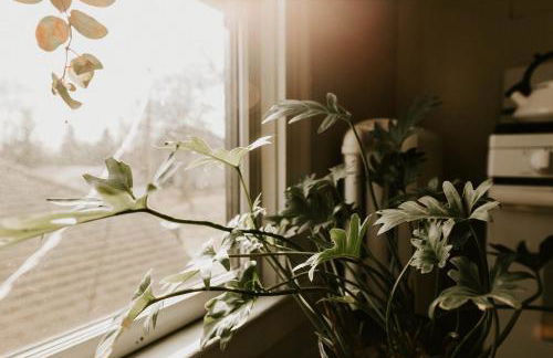 Retro Gem Box Victorian Steps from Irvine Park - Foto 29