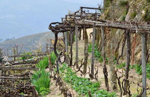 Casa do avô Serafim - Foto 13