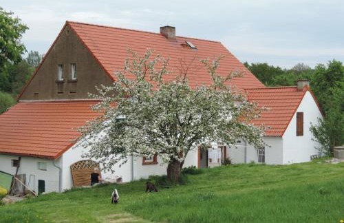 Pod Miotełką - Foto 13