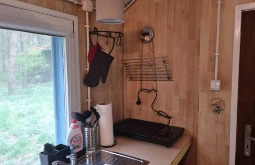 Dom Pod Brzozami Lipinki Bory Tucholskie basen - psy, koty mile widziane! - Photo 21