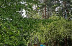 Pasieka Dobro i Smak - Foto 17