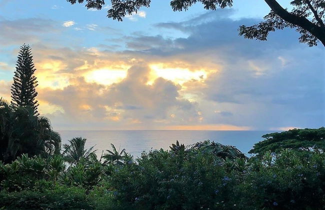 Hamakua Pukana La Hale 3 Bedroom Home by RedAwning - Foto 31