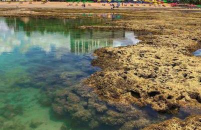 Apartamento Beira Mar Maceió - Foto 63