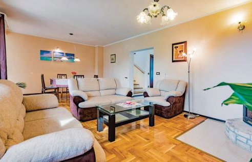 House Dolly - Foto 4