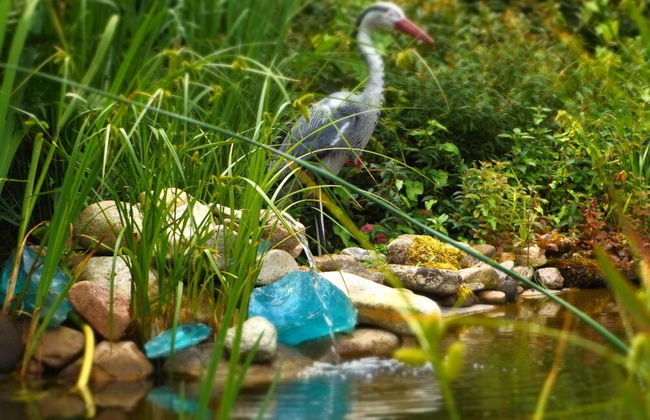 Ferienwohnung Sachsische Schweiz - Foto 18