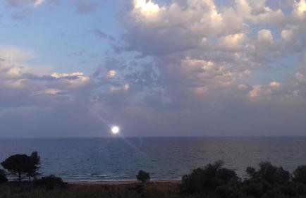 Margarita House - Photo 35