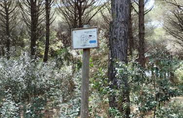 Casa Graziella - Foto 51