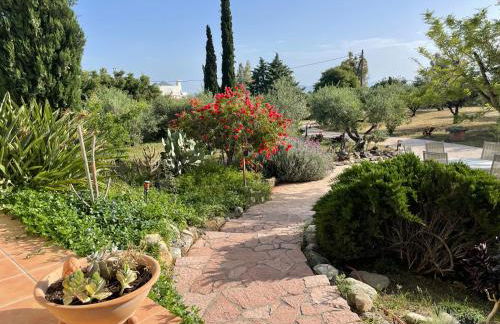 Carpe Diem - Photo 50