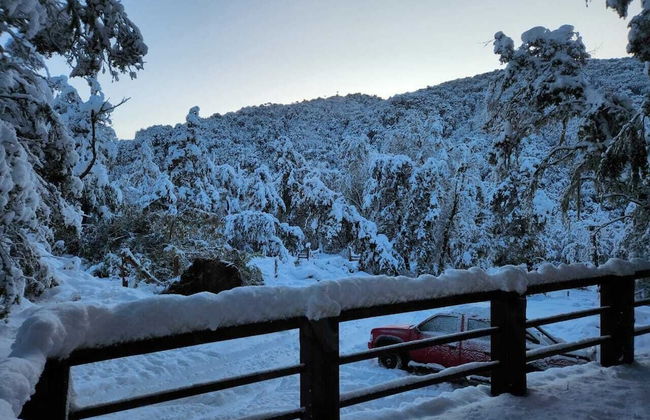 Rincon del Bosque - Foto 19