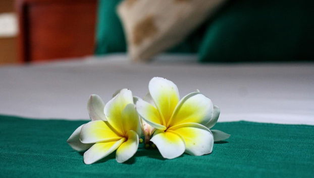 Beddegama Eco - Foto 3, Quarto