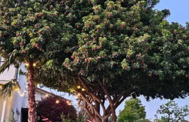 Exotic Gem Relaxing Farm Vibes Near Safari Zoo, Legoland & Wineries - Foto 27